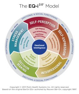EQ i 2.0 Emotional Intelligence Assessment